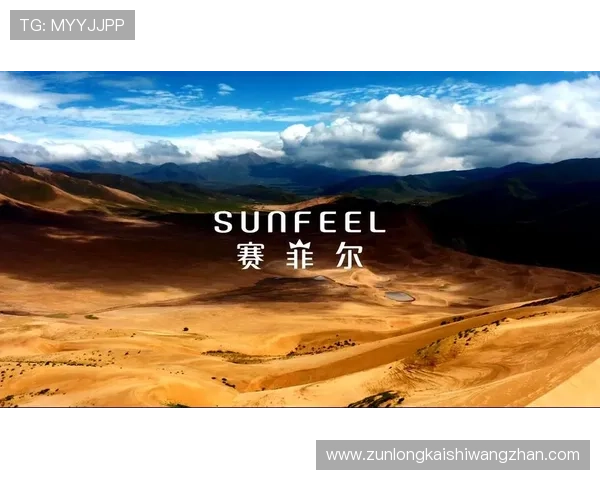 尊龙凯时公司：不断优化用户体验提升品牌影响力