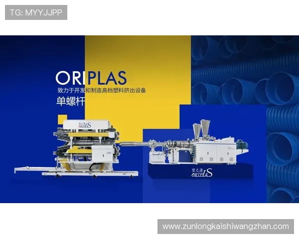 尊龙凯时旗舰店官网多样化产品选择，满足不同客户的个性化需求和偏好