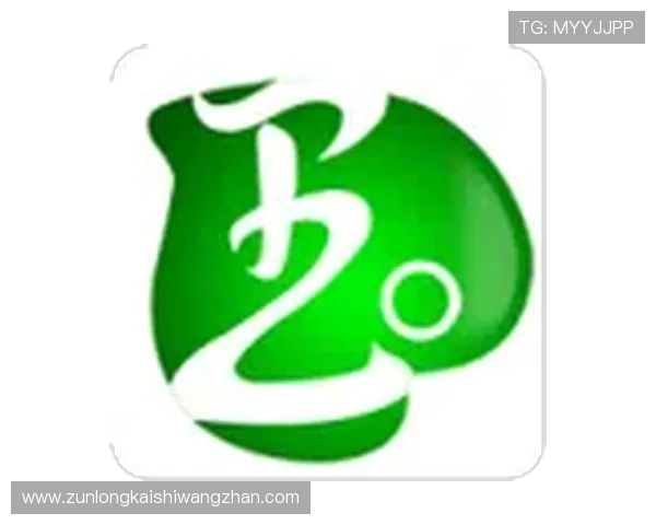 尊龙新版官网入口安全稳定，保障玩家畅玩无忧的最佳平台